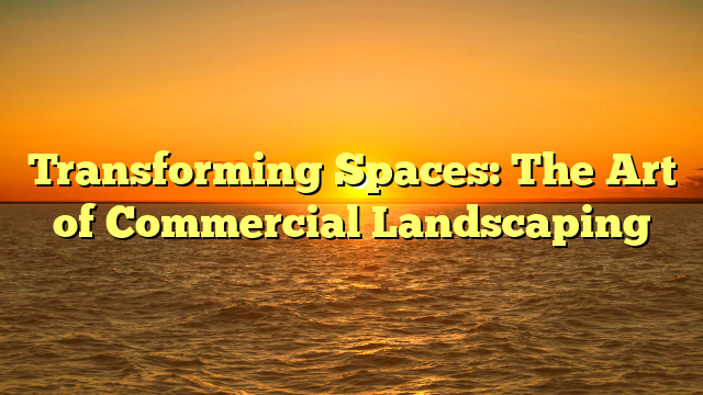 Transforming Spaces: The Art of Commercial Landscaping