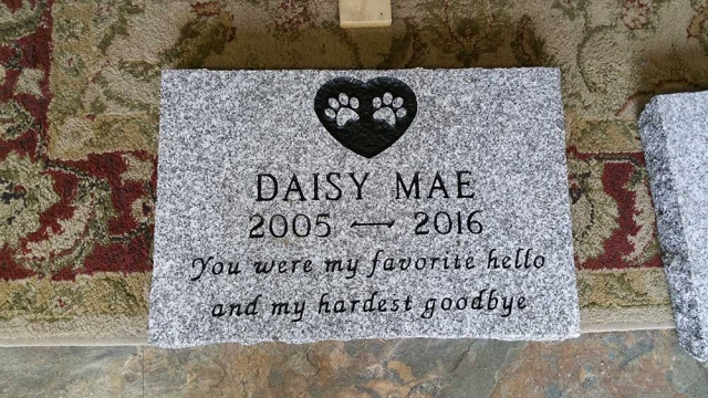 Remembering Our Furry Friends: A Heartfelt Pet Memorial Guide