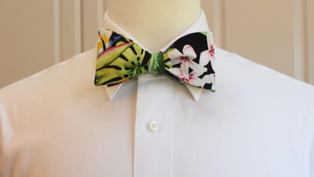 Dressing to Impress: Exploring the Perfect Ties for a Tropical Wedding