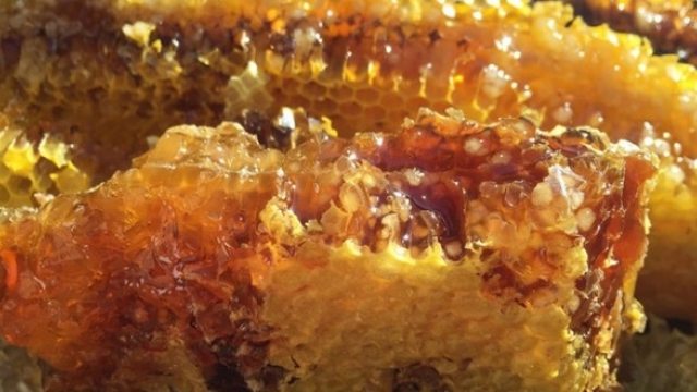 The Sweet Madness: Unveiling the Secrets of Mad Honey