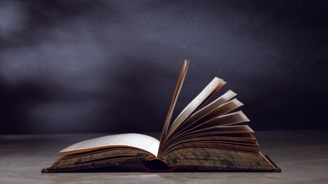 Unlocking Success: Navigating the Path to a Fulfilling Career through Education