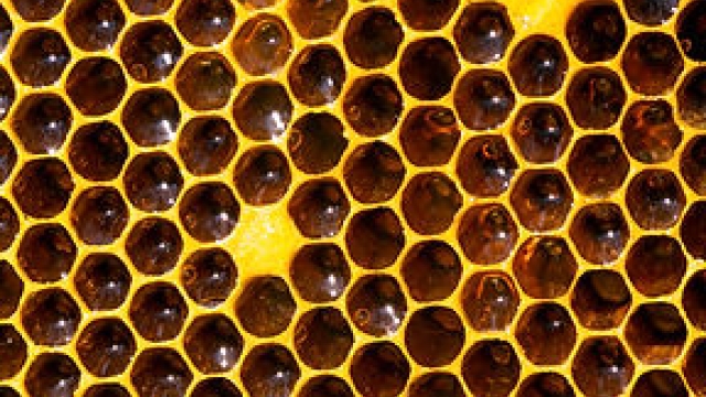Unveiling the Bewitching World of Mad Honey