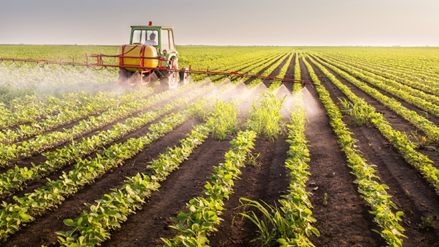 Unleashing the Power of Organic Soil: Unlocking Nature’s Secret Weapon for Thriving Plants