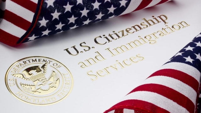 Navigating the Immigration Maze: Understanding the Ins and Outs of Immigration Law