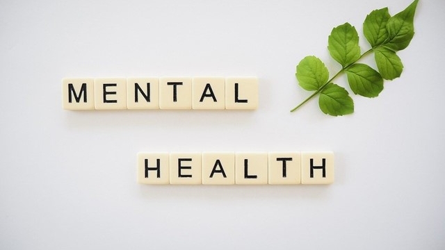 Unearthing Inner Peace: Exploring the Therapist’s Haven in Cypress