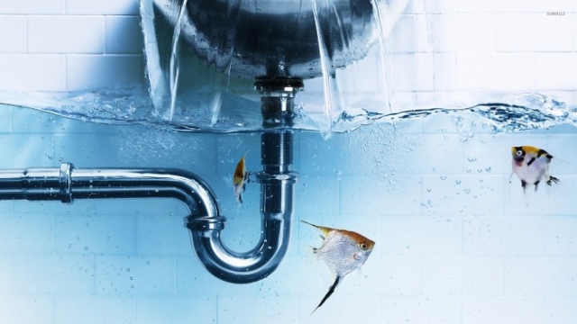 Untangling the Pipes: A Closer Look at Murray Plumbing’s Expert Solutions