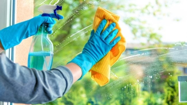 Shining Through: Mastering the Art of Window Cleaning