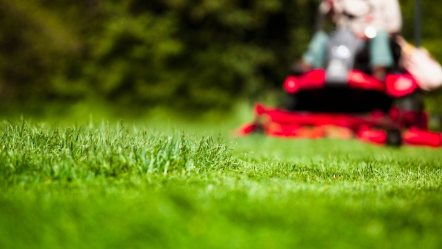 The Ultimate Guide to Achieving a Lush and Envy-Worthy Lawn